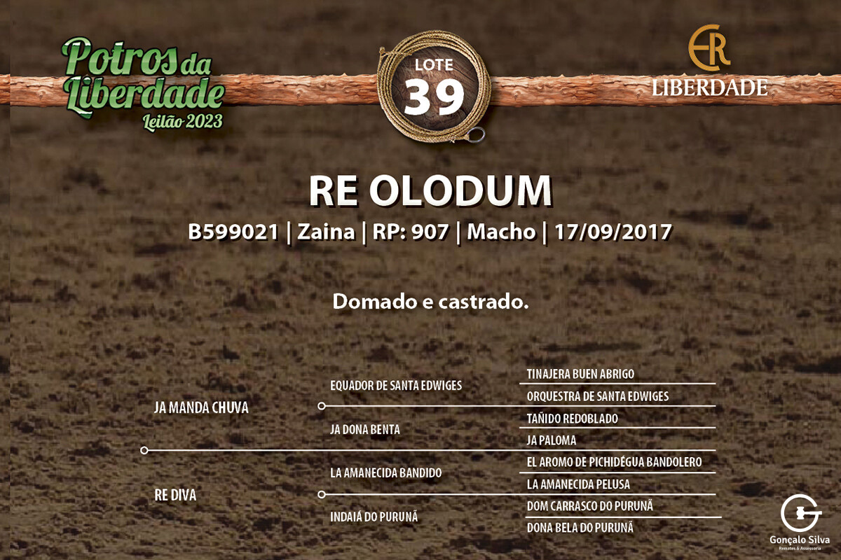 Geração RE OLODUM