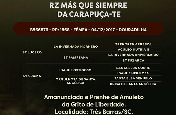 Geração RZ MÁS QUE SIEMPRE DA CARAPUÇA-TE