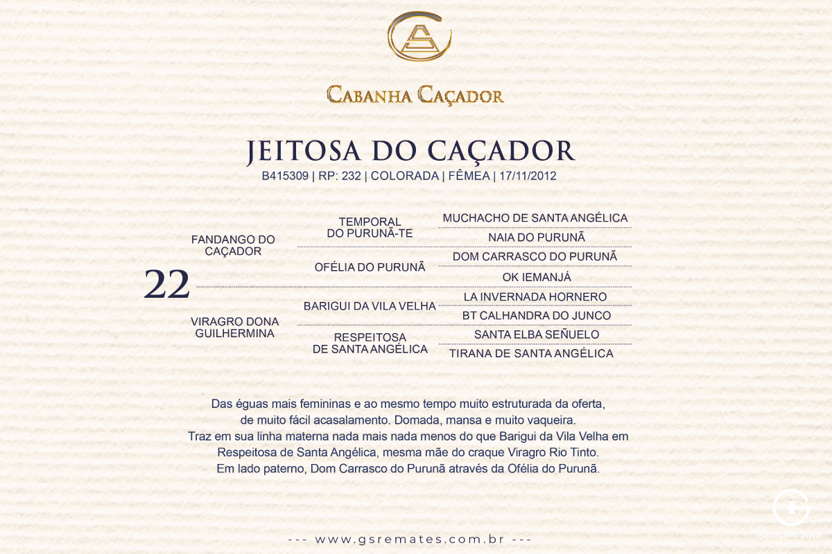 Geração JEITOSA DO CAÇADOR 