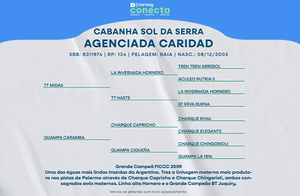 Geração AGENCIADA CARIDAD - (EMBRIÃO)