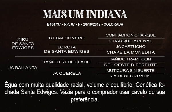 Geração MAIS UM INDIADA