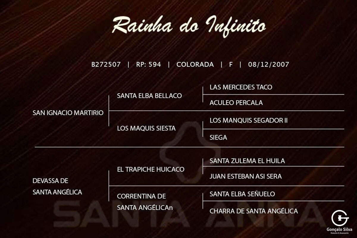 Geração RAINHA DO INFINITO - (Venda vertical BARRIGA)