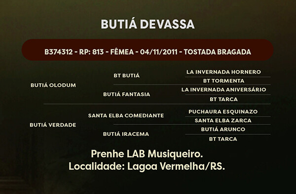 Geração BUTIÁ DEVASSA 