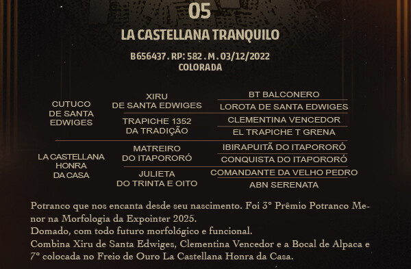 Geração LA CASTELLANA TRANQUILO