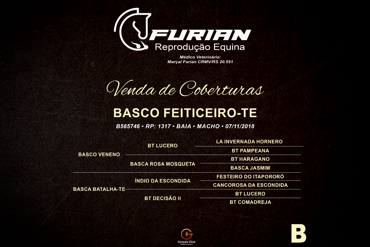 Geração COBERTURA BASCO FEITICEIRO - TE 