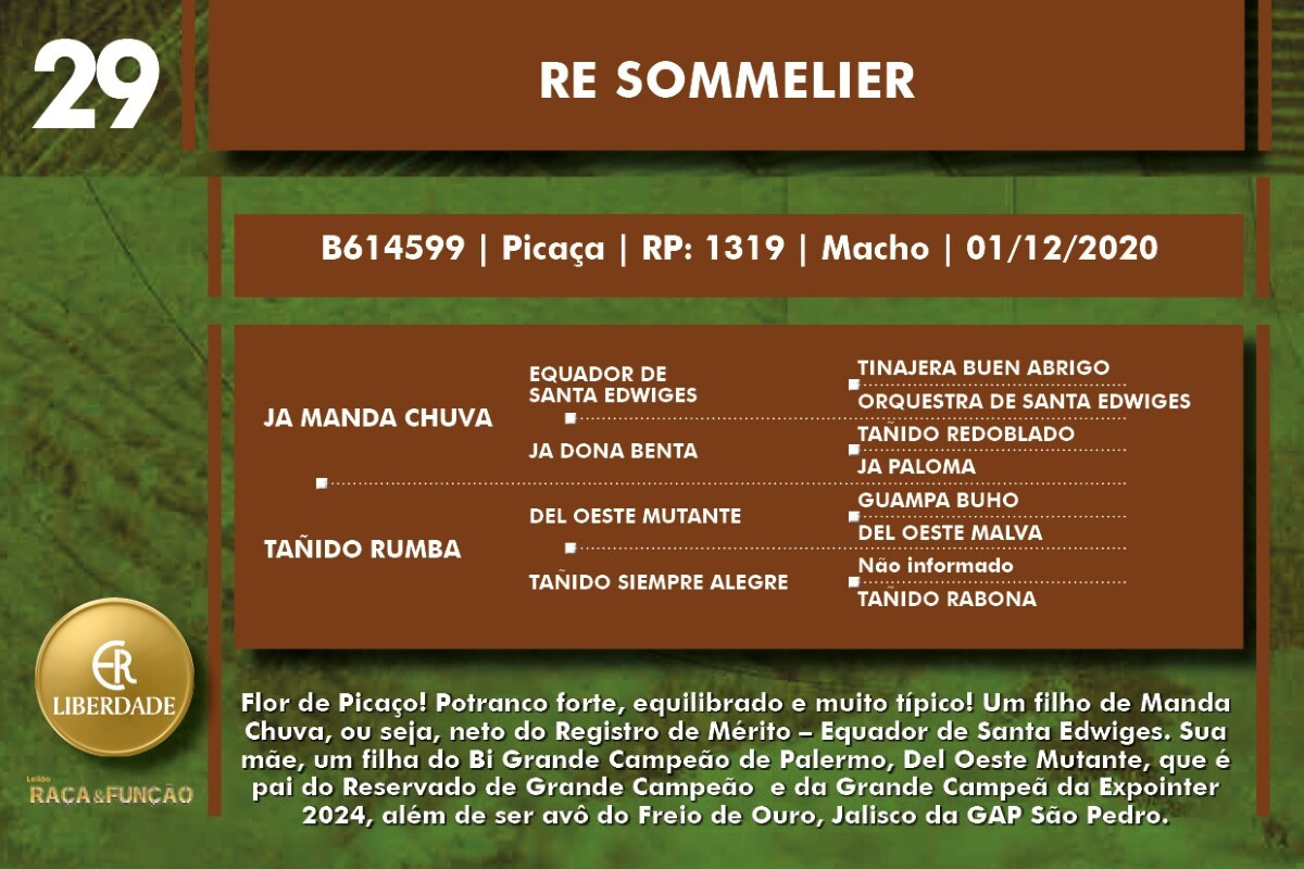 Geração RE SOMMELIER