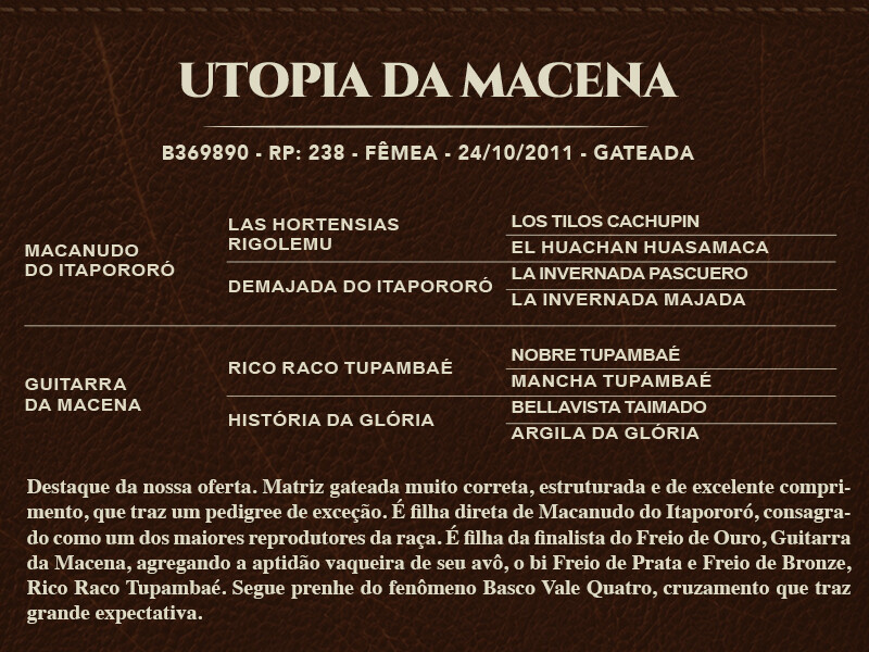 Geração UTOPIA DA MACENA