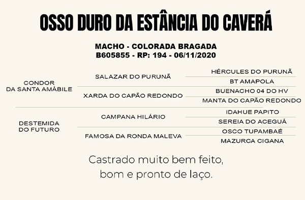 Geração OSSO DURO DA ESTANCIA CAVERA 