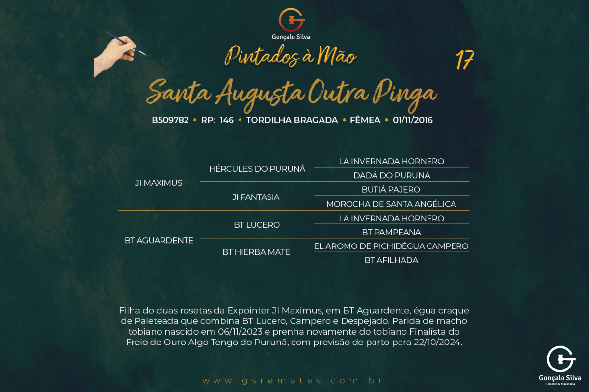 Geração SANTA AUGUSTA OUTRA PINGA
