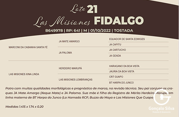 Geração LAS MISIONES FIDALGO