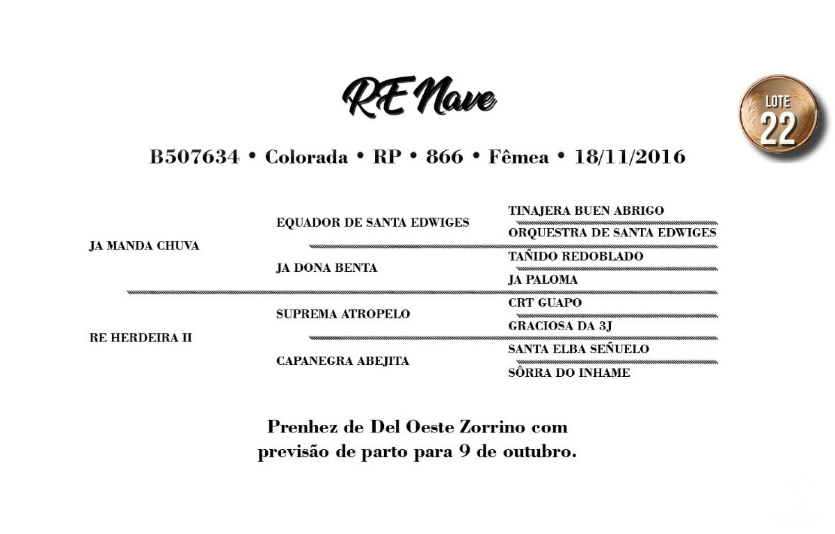 Geração RE NAVE