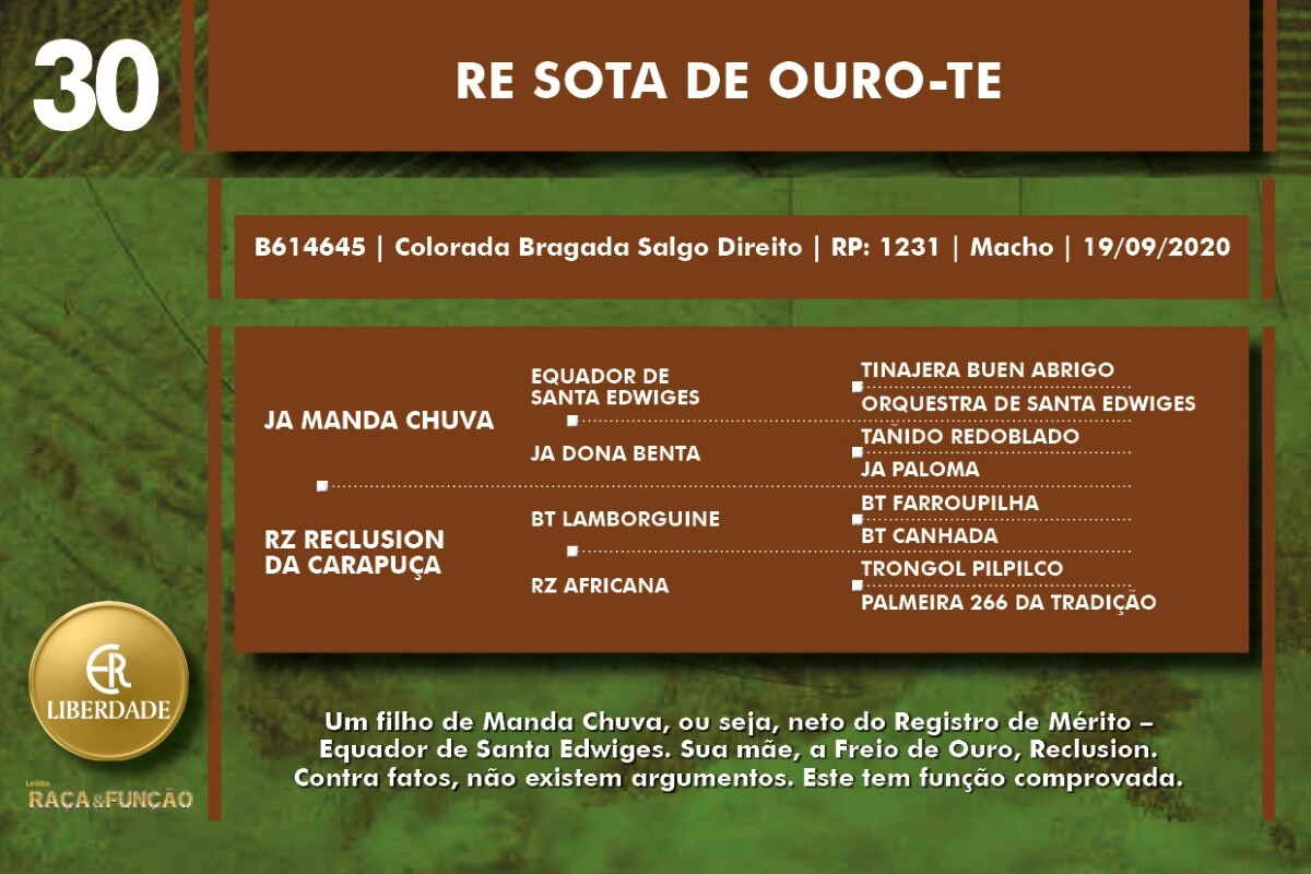 Geração RE SOTA DE OURA-TE