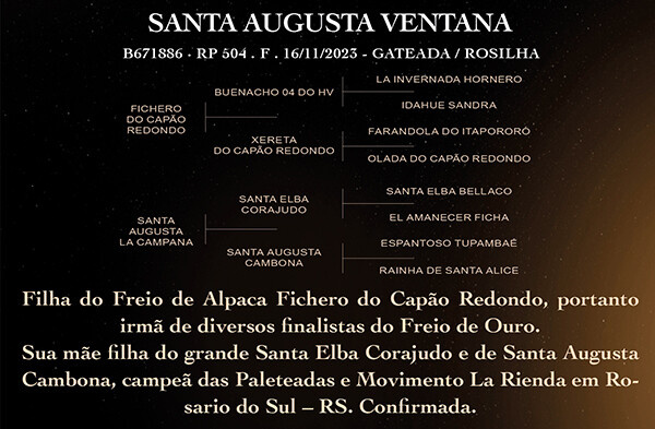 Geração SANTA AUGUSTA VENTANA