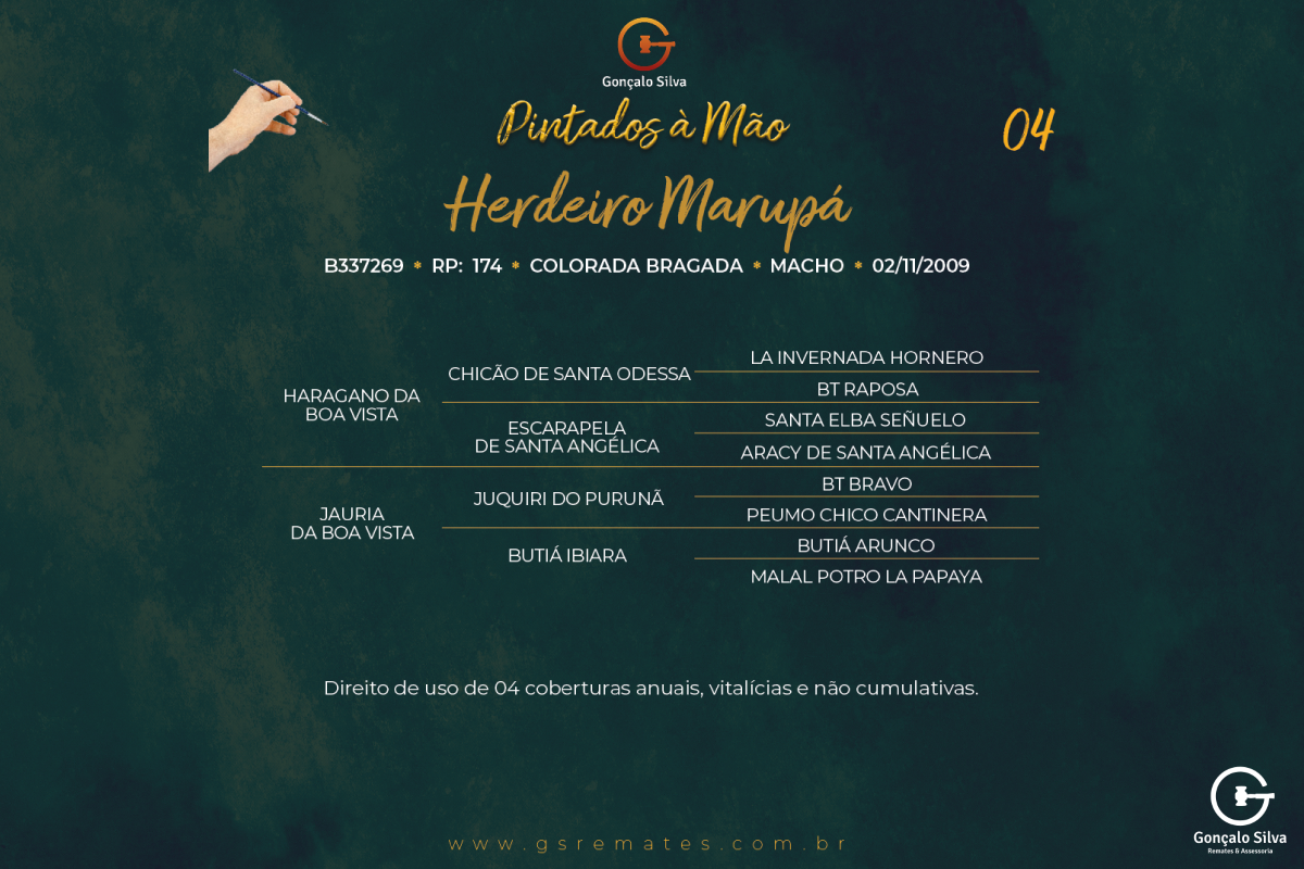Geração HERDEIRO MARUPÁ - DIREITO DE USO