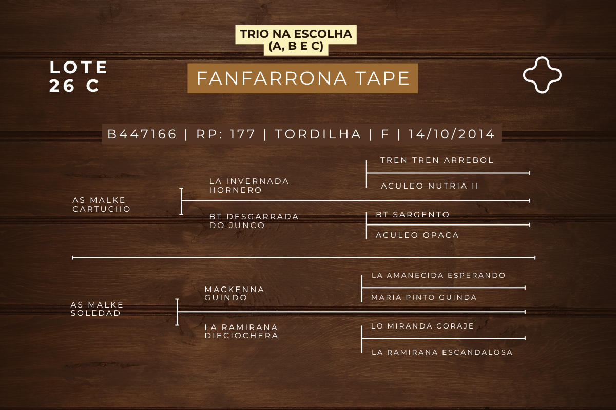 Geração NA ESCOLHA EMBRIÃO AS MALKE SOLEDAD OU ORELHANA TAPE - TE OU FANFARRONA TAPE