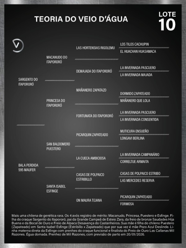 Geração TEORIA DO VEIO D'ÁGUA