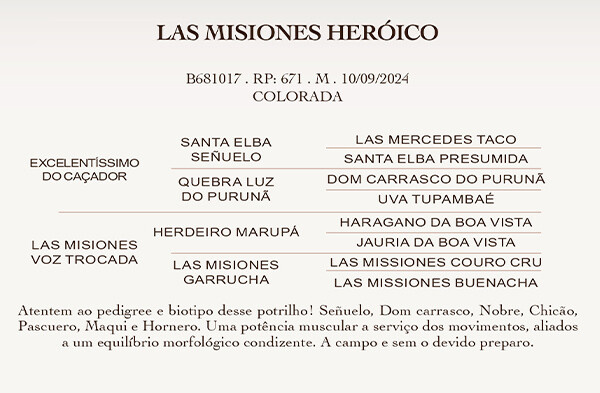 Geração  LAS MISIONES HERÓICO