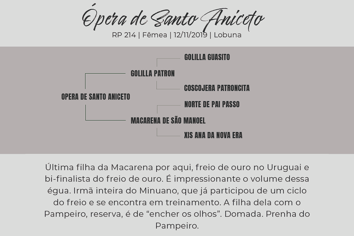 Geração ÓPERA DE SANTO ANICETO