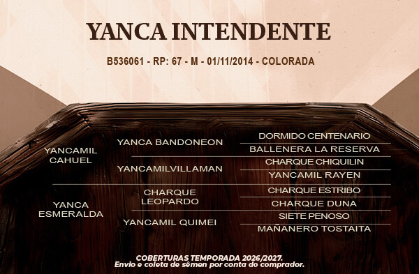Geração Yanca Intendente