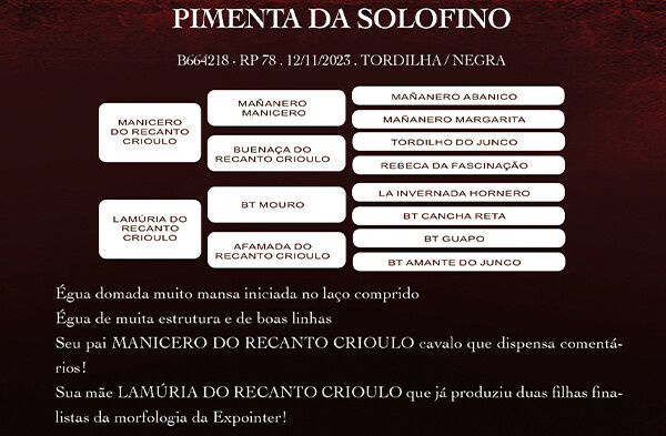 Geração PIMENTA DA SOLOFINO