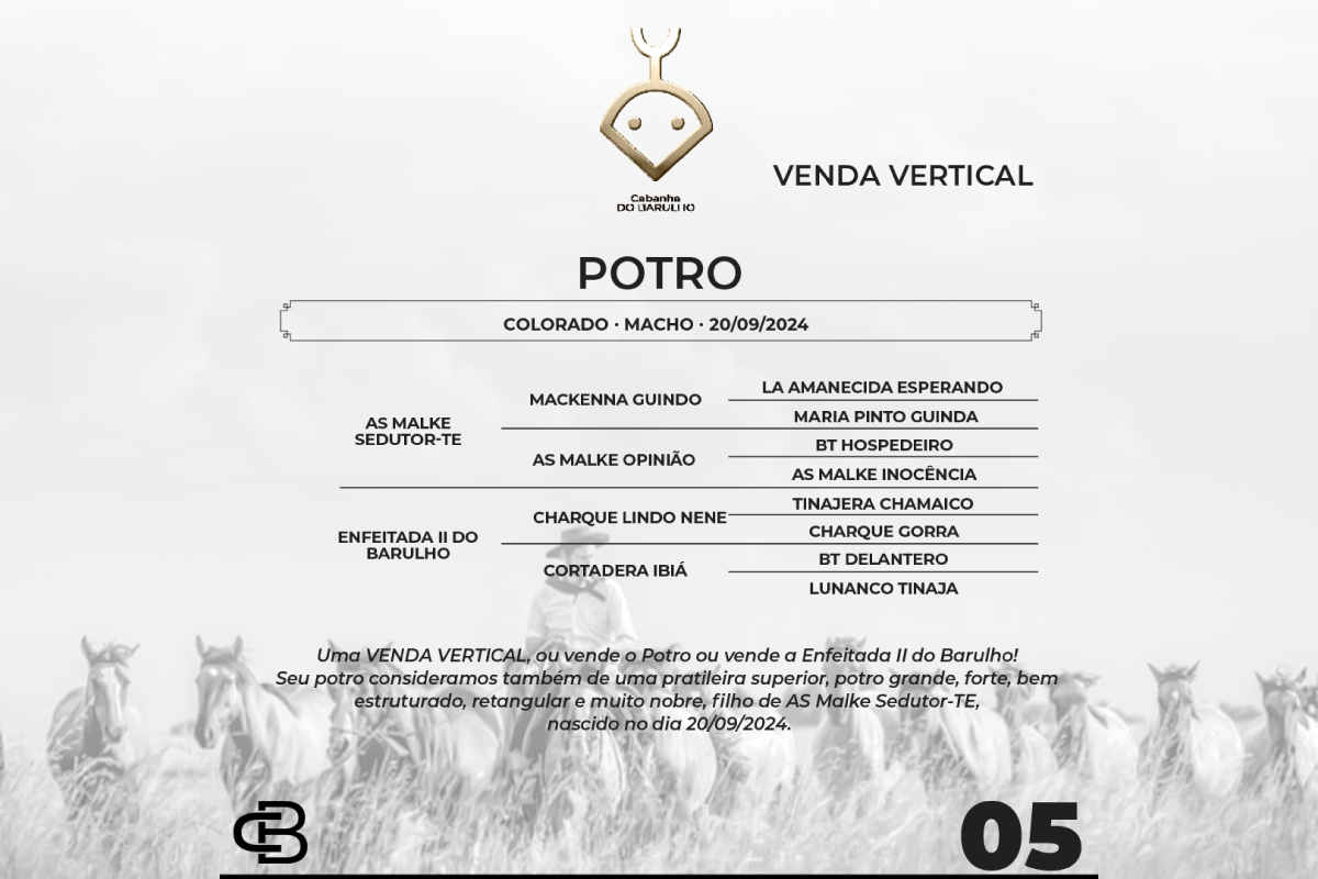 Geração VENDA VERTICAL POTRO OU ENFEITADA II DO BARULHO