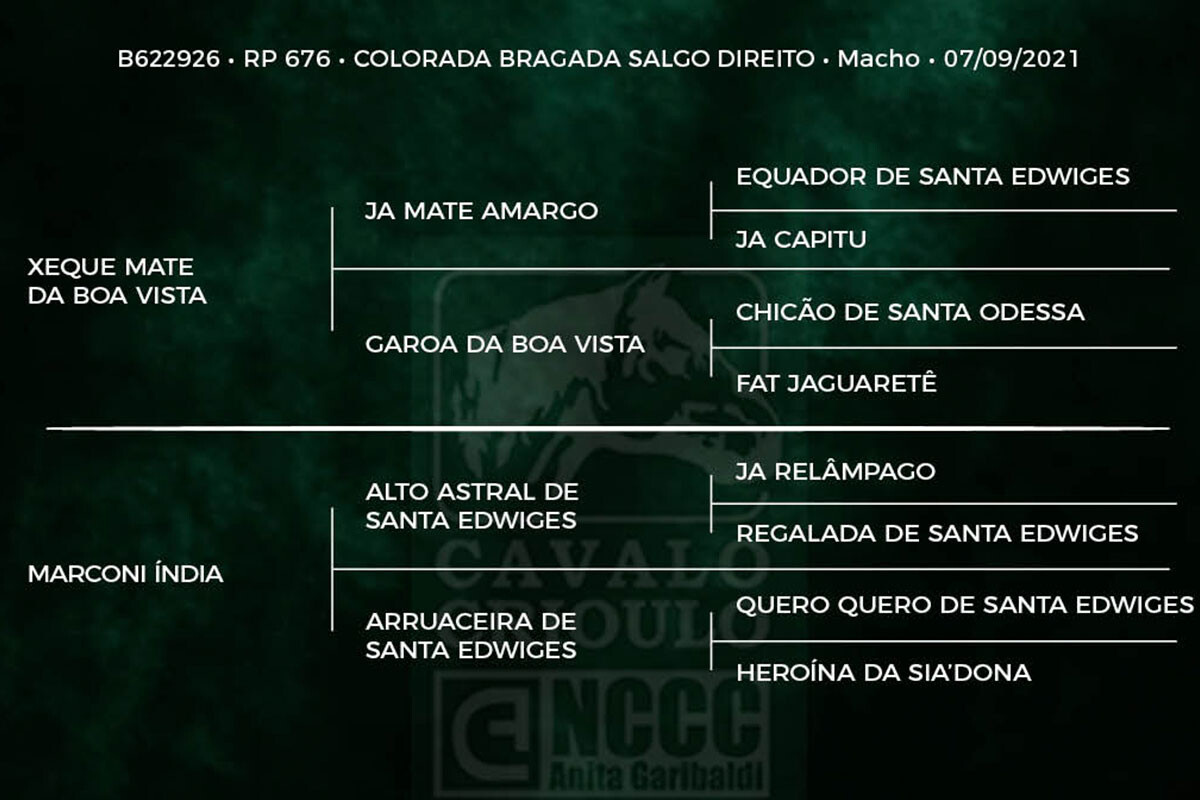 Geração MARCONI XEQUE MATE
