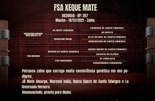 Geração FSA XEQUE MATE