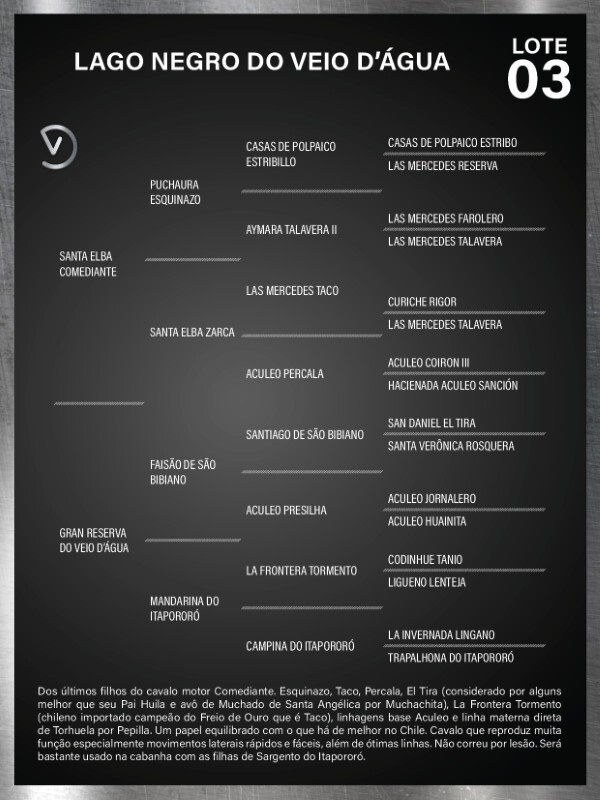 Geração LAGO NEGRO DO VEIO D'ÁGUA - COBERTURAS