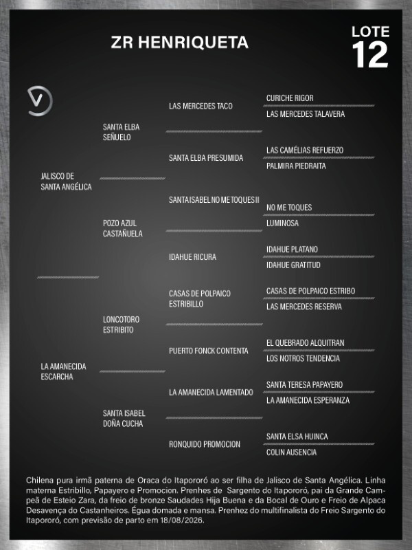 Geração ZR HENRIQUETA