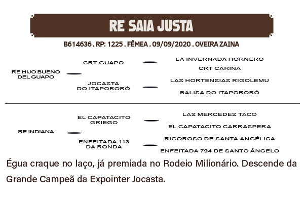 Geração RE SAIA JUSTA