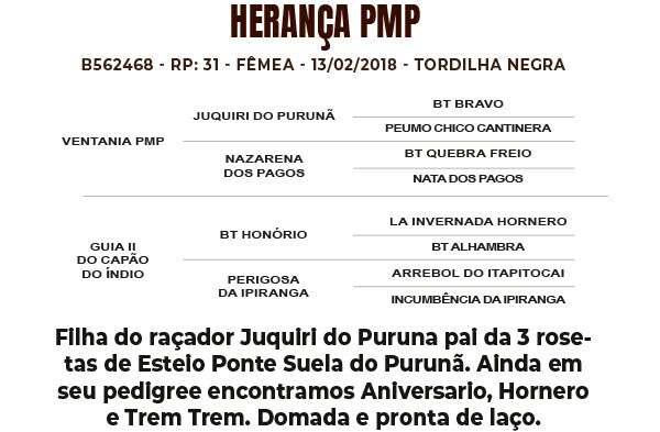 Geração HERANÇA PMP