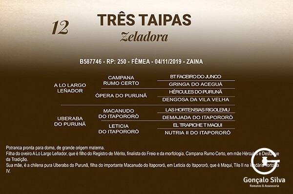 Geração TRÊS TAIPAS ZELADORA
