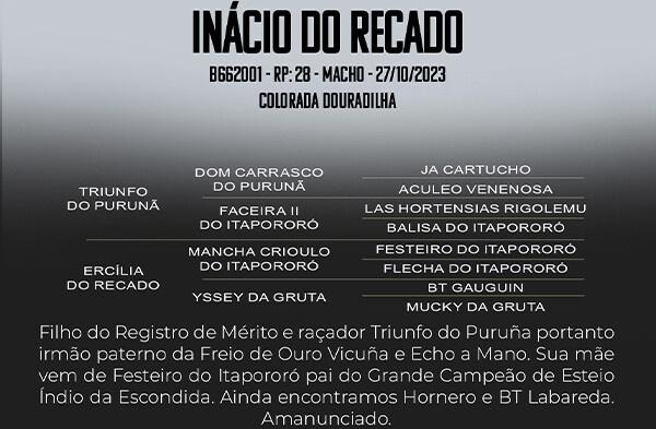 Geração INACIO DO RECADO 