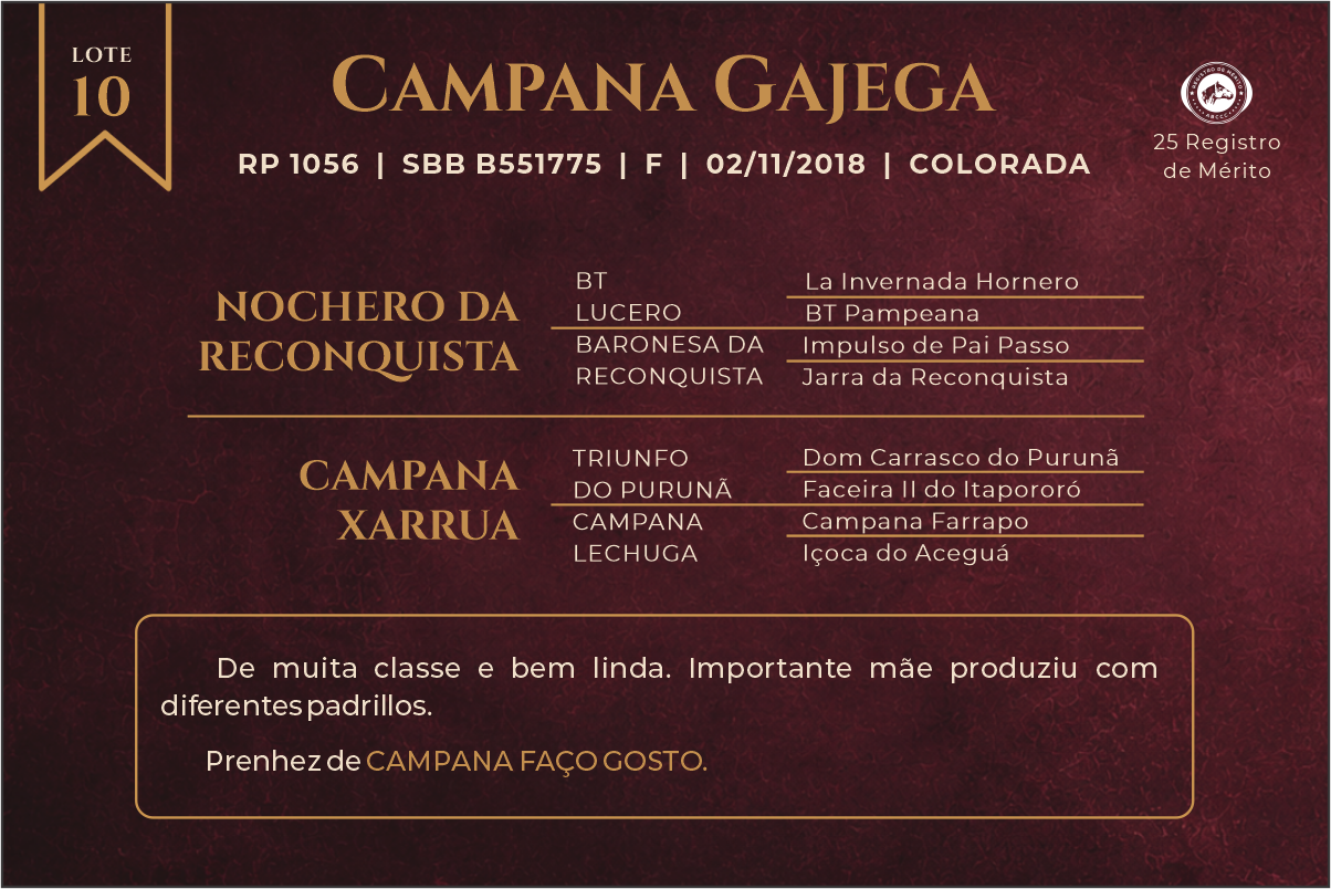 Geração CAMPANA GAJEGA