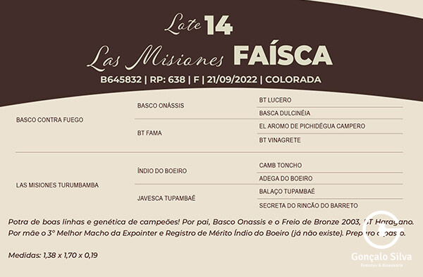 Geração LAS MISIONES FAÍSCA