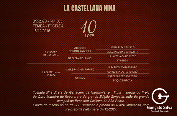 Geração LA CASTELLANA NINA