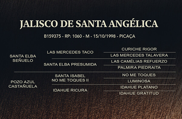 Geração JALISCO DE SANTA ANGÉLICA