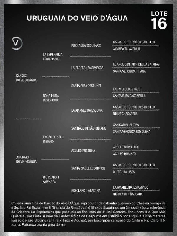 Geração URUGUAIA DO VEIO D'ÁGUA