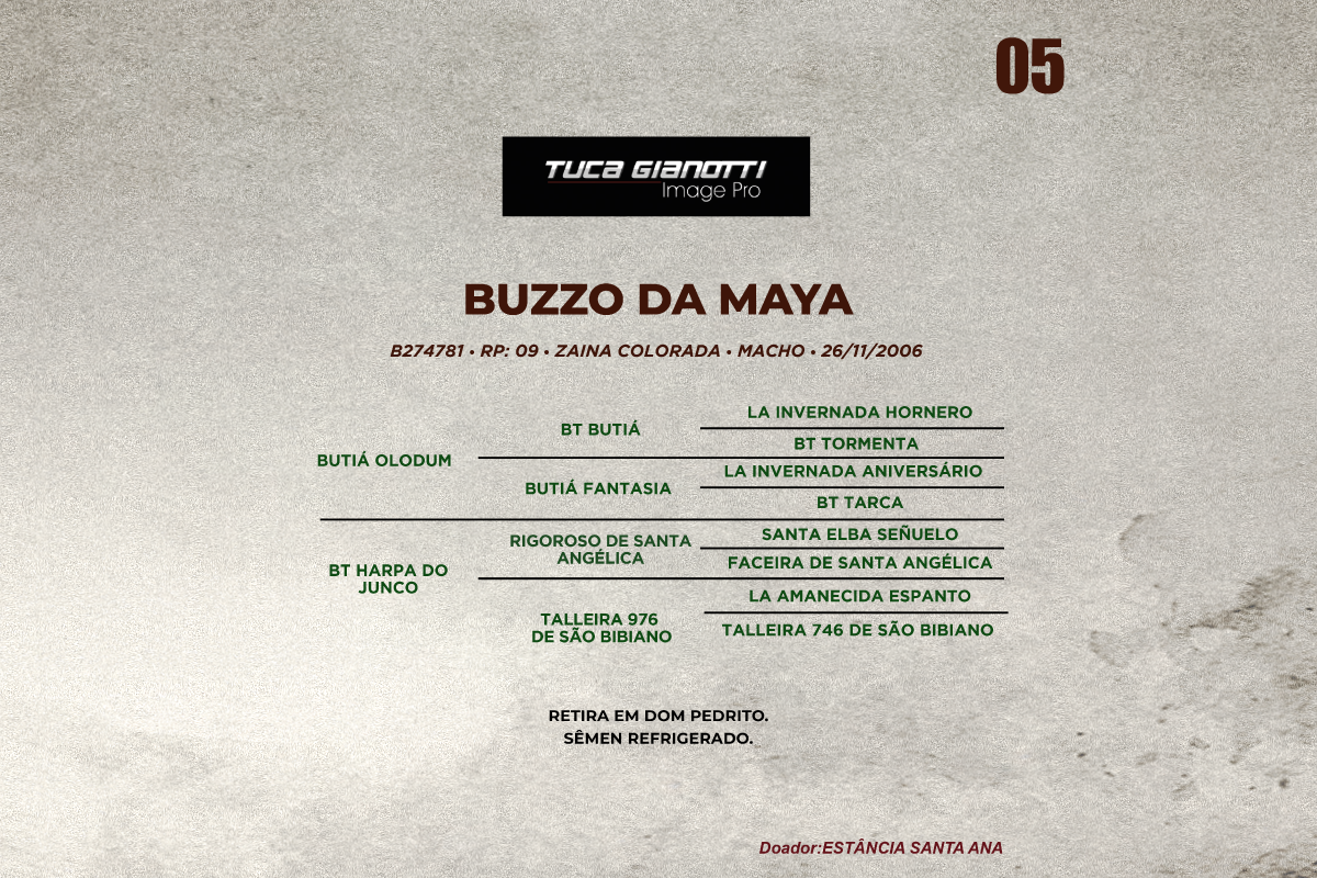 Geração BUZZO DA MAYA 