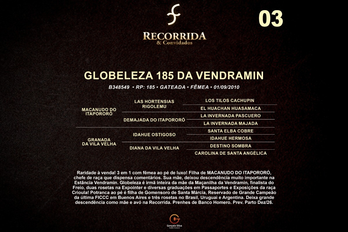 Geração GLOBELEZA 185 DA VENDRAMIN