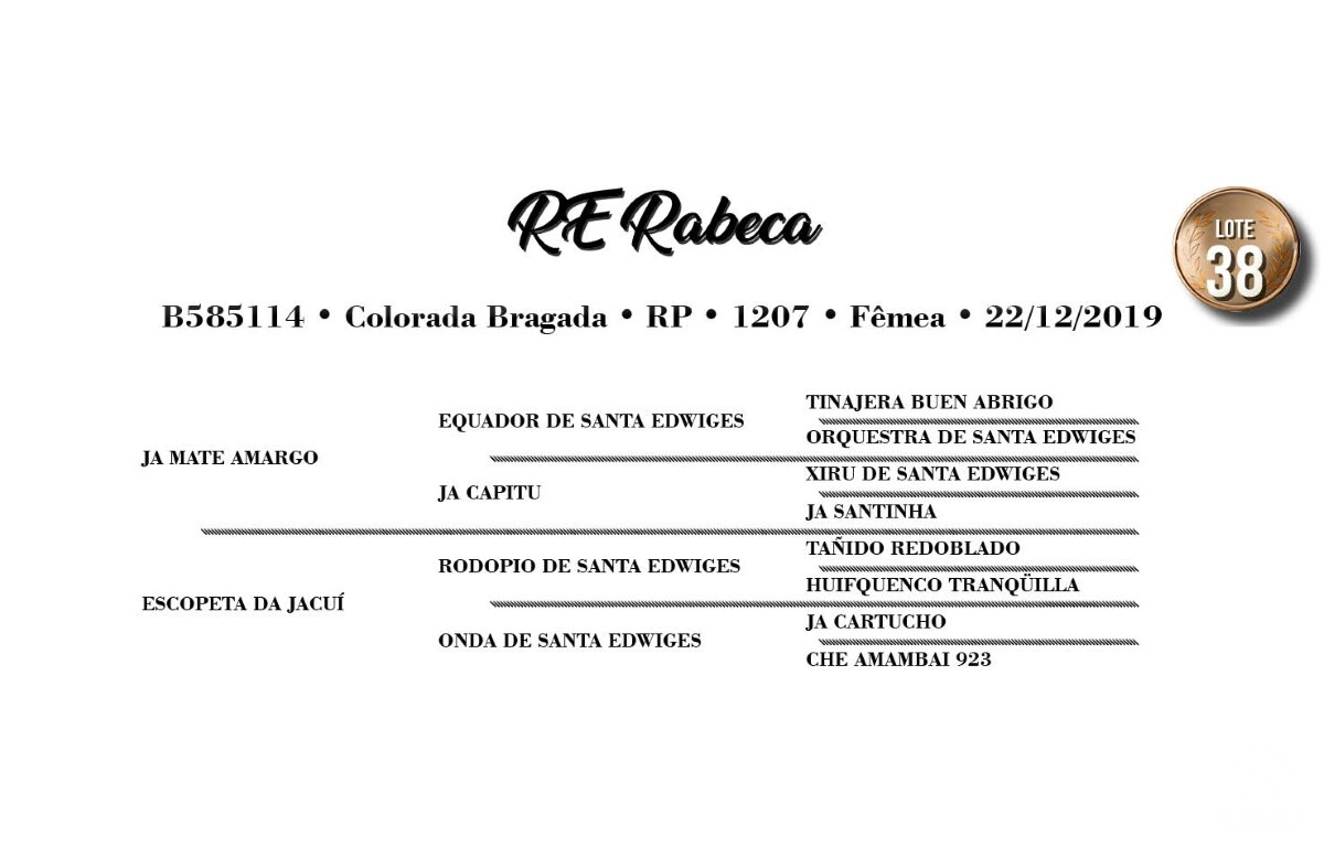 Geração RE RABECA
