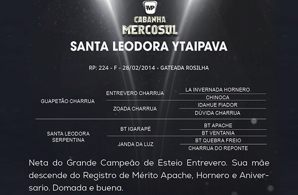 Geração SANTA LEODORA YTAIPAVA 