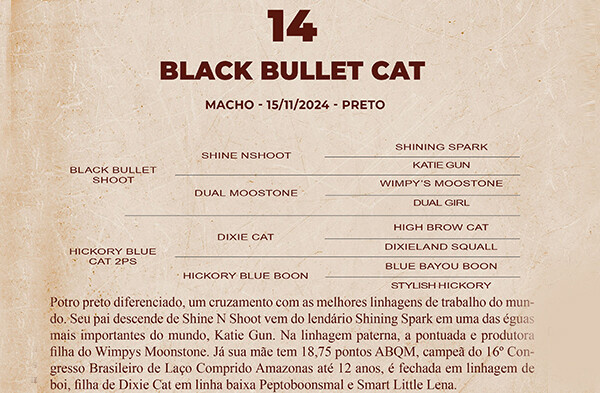 Geração BLACK BULLET CAT