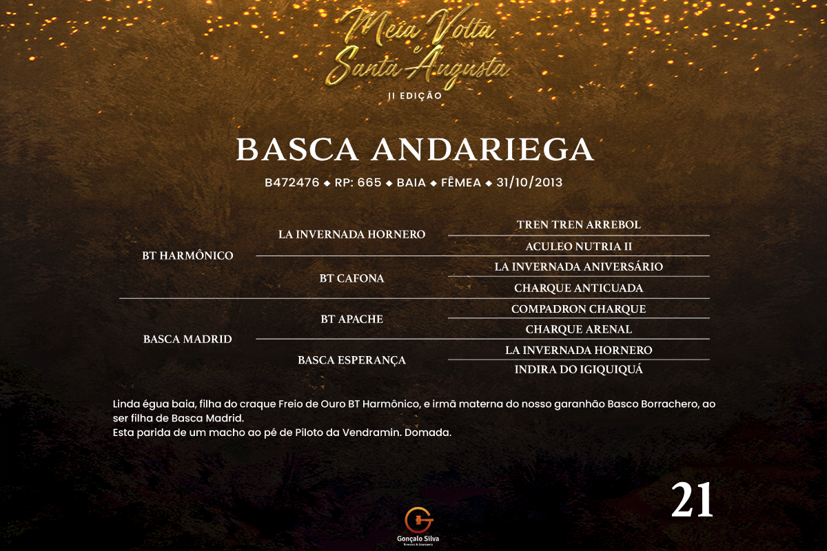 Geração BASCA ANDARIEGA