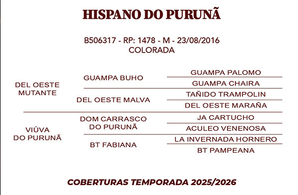 Geração HISPANO DO PURUNA 
