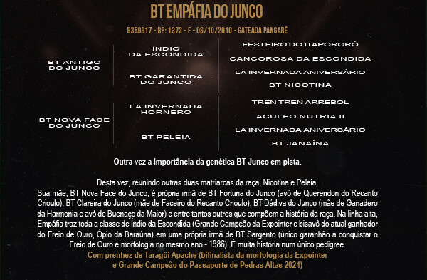 Geração BT EMPÁFIA DO JUNCO