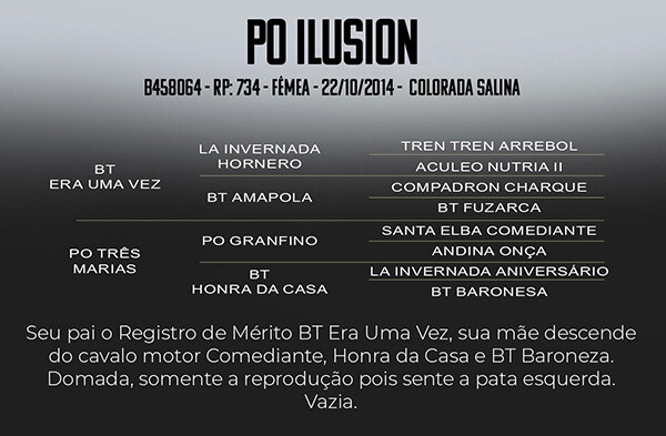 Geração PO ILUSION