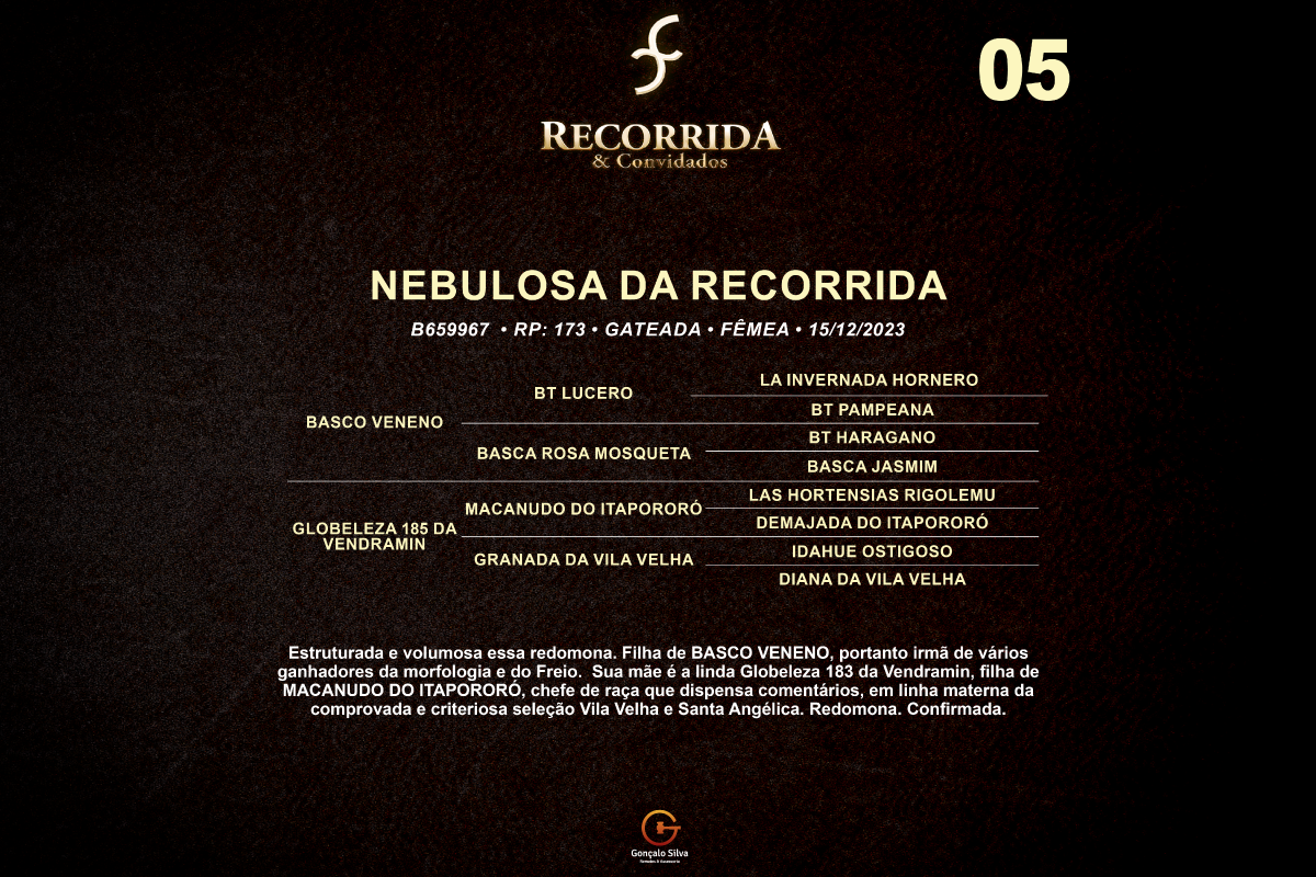 Geração NEBULOSA DA RECORRIDA 