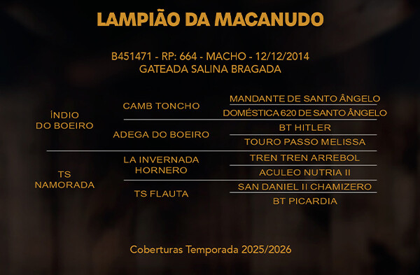 Geração LAMPIÃO DO MACANUDO