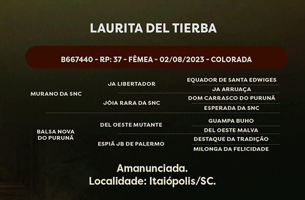 Geração LAURITA DEL TIERBA 